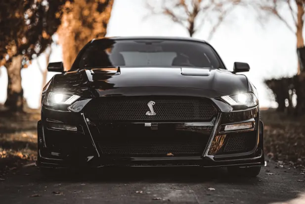 לפלנדרס קזינו אפליקציית Android/iOS